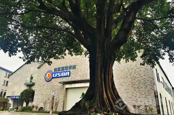 刻苦训练篮球时如何避免受伤的建议_2